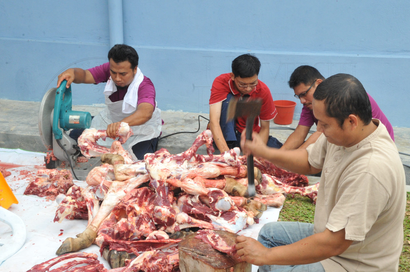 PRO15 150 KORBAN HAS 6979